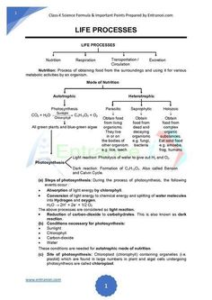 a diagram showing the process of life processes