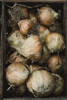 an old box filled with onions sitting on top of a table