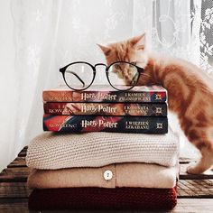 a stack of harry potter books with a cat wearing glasses