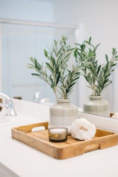 two vases with plants in them sitting on a bathroom counter top next to a candle