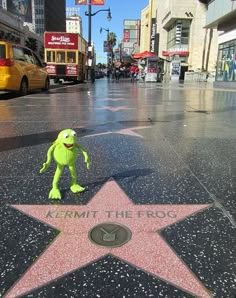 the star for kermitt the frog on hollywood boulevard