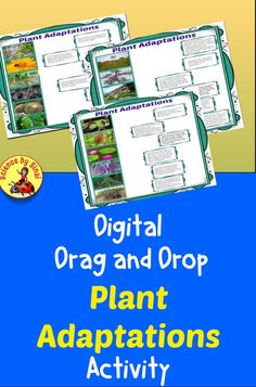 three posters with the words, origin and drop plant captions activity