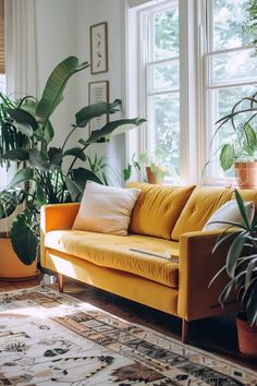 a living room filled with lots of potted plants next to a couch and rug