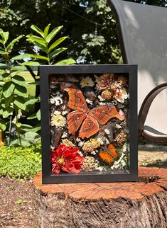 an orange butterfly sitting on top of a piece of wood next to a tree stump