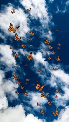 there are many orange butterflies flying in the blue sky with white fluffy clouds behind them