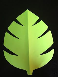 a paper cut out of a leaf on a black background