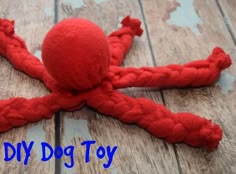 an octopus made out of yarn sitting on top of a wooden floor with the words diy dog toy written below it