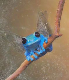 a blue frog sitting on top of a tree branch