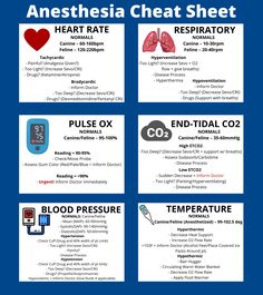 anesthesia heat sheet with instructions on how to use it