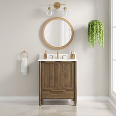 a bathroom with a sink, mirror and hanging plant