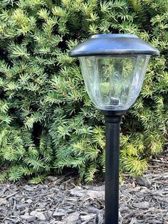 a lamp post in front of some bushes