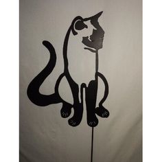 a black and white cat is standing on a stick