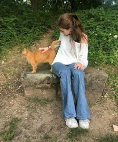 Orange Cat, In The Woods, A Cat, A Girl, Orange, Stone, Wall