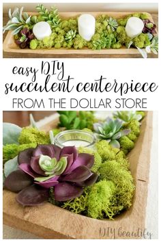 an easy diy succulent centerpiece from the dollar store