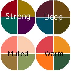 four different colors with the words,'strong, deep, and muted warm