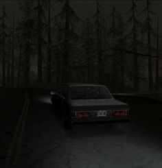 the car is driving down the road in the dark forest at night with its headlights on