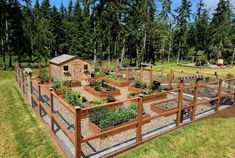 an outdoor vegetable garden in the middle of a grassy area with wooden fences and plants