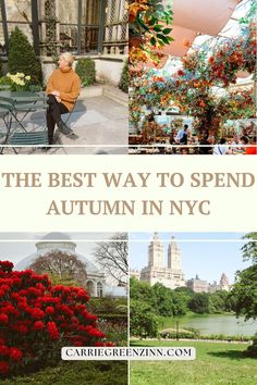 the best way to spend autumn in nyc