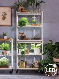 a shelf filled with potted plants next to a wall mounted planter on wheels