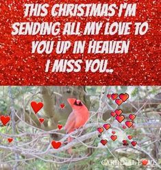 a red bird sitting on top of a tree filled with heart shaped branches and the words, this christmas i'm sending all my love to you up in heaven