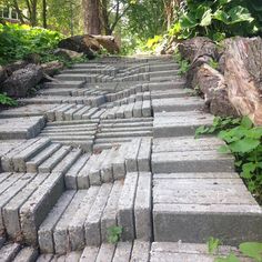 stone steps in the middle of a forest