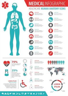 medical info poster with an image of the human body