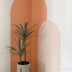 a potted plant sitting on top of a table next to an arch shaped wall