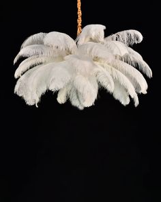 a chandelier with white feathers hanging from it's centerpiece in front of a black background