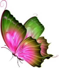 a pink and green butterfly flying in the air with its wings spread wide open, on a white background