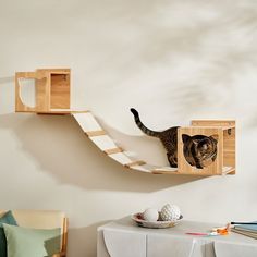 a cat standing on top of a wooden shelf in the shape of a ramp that is attached to a wall