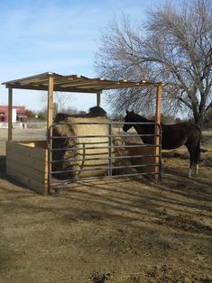 a horse standing next to a pile of hay