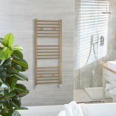 a bathroom with a towel rack, toilet and bathtub in the background is a plant