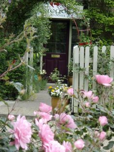 pink roses are growing in front of a white picket fence and gated entrance to a garden