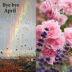 two pictures one with flowers and the other with a rainbow in the background that says bye bye, welcome may