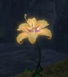 a yellow flower that is glowing in the dark