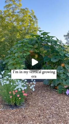 a garden area with flowers and plants in the background, text reads i'm in my vertical growing era