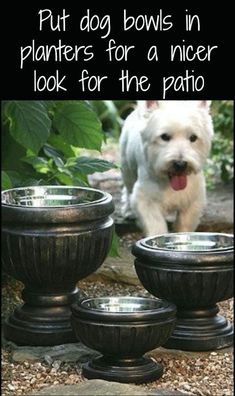 a white dog is standing in front of four black bowls with water inside and the words put dog bowls in planters for a nice look for the patio