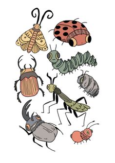 bugs and insects are depicted in this hand drawn illustration