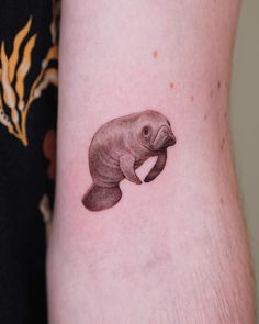 a small manant tattoo on the right side of the arm, with an animal in it's center