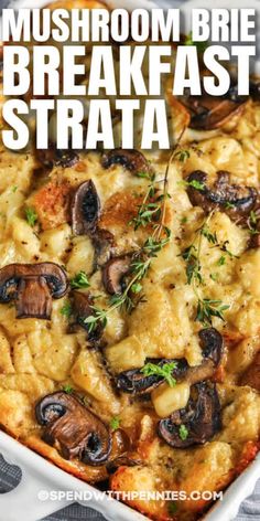 mushroom brie breakfast strata in a white casserole dish with text overlay