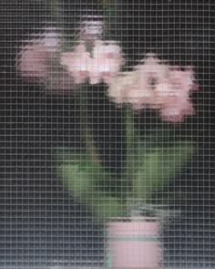 some pink flowers are in a vase on a window sill behind a mesh screen