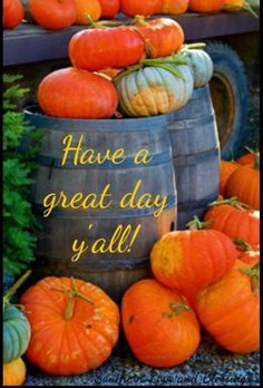 pumpkins and gourds are stacked on top of a barrel with the words have a great day y'all