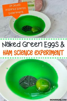 green eggs and ham science experiment for kids