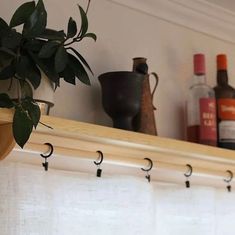 there is a potted plant sitting on the shelf above the window sill, with bottles behind it