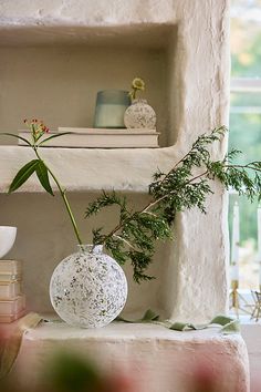 two white vases with plants in them sitting on a shelf next to other items