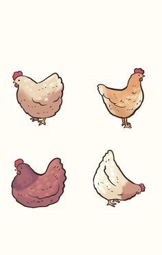 four chickens are standing in the same direction, one is brown and one is white