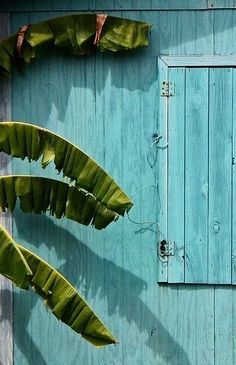 a blue house with green shutters and palm trees in the foreground, color swatches below