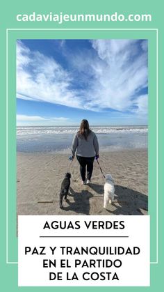 a woman walking two dogs on the beach in front of blue sky with white clouds