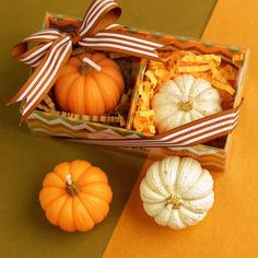 two small pumpkins in a box with ribbon around the top and three smaller pumpkins below