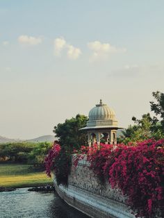 a building with flowers growing on the side of it next to a body of water